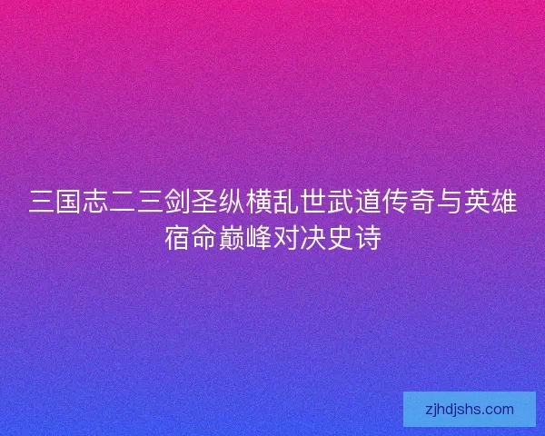 三国志二三剑圣纵横乱世武道传奇与英雄宿命巅峰对决史诗