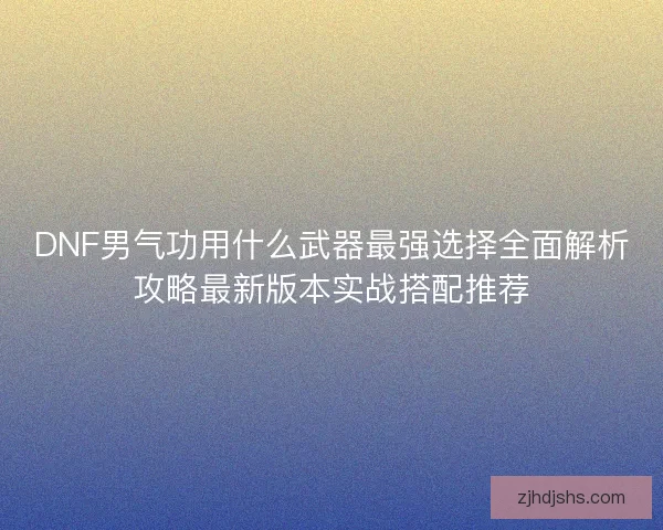 DNF男气功用什么武器最强选择全面解析攻略最新版本实战搭配推荐